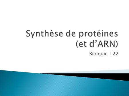 Synthèse de protéines (et d’ARN)