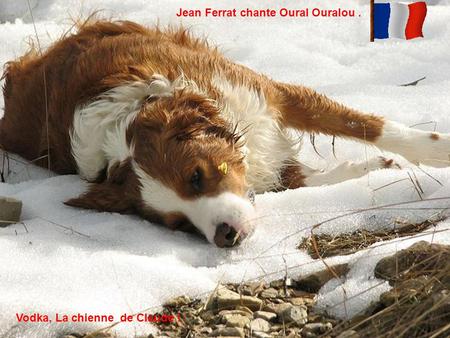 Vodka, La chienne de Claude ! Jean Ferrat chante Oural Ouralou.
