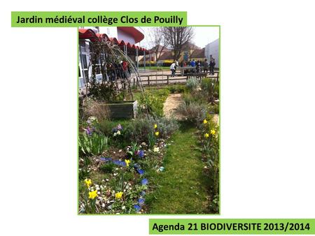 Agenda 21 BIODIVERSITE 2013/2014 Jardin médiéval collège Clos de Pouilly.