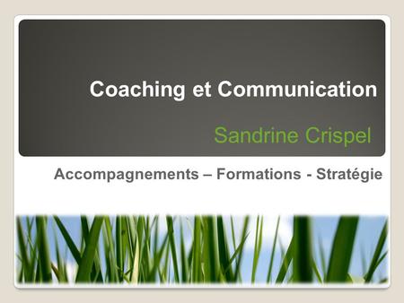 Accompagnements – Formations - Stratégie