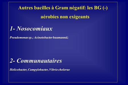 Autres bacilles à Gram négatif: les BG (-) aérobies non exigeants