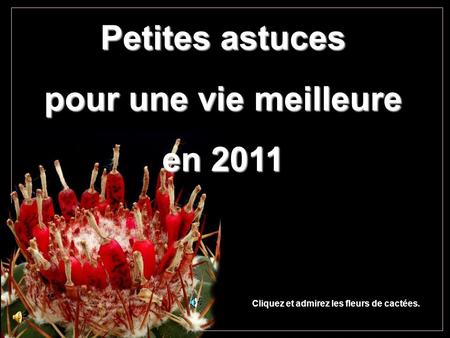 Petites astuces pour une vie meilleure en 2011 Cliquez et admirez les fleurs de cactées.