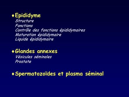 Spermatozoïdes et plasma séminal