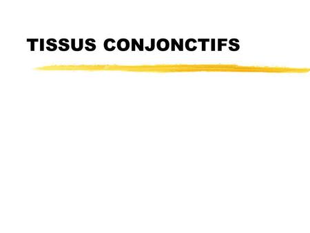Mardi 20 février 2007 TISSUS CONJONCTIFS.