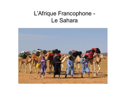 L’Afrique Francophone - Le Sahara. La Mauritanie.
