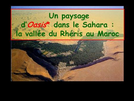 Un paysage d’Oasis* dans le Sahara : la vallée du Rhéris au Maroc