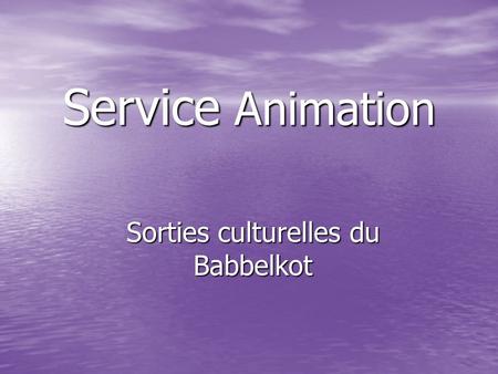 Service Animation Sorties culturelles du Babbelkot.