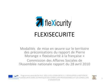 FLEXISECURITE Modalités de mise en œuvre sur le territoire des préconisations du rapport de Pierre Morange « flexisécurité à la française » Commission.