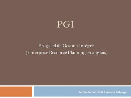 Progiciel de Gestion Intégré (Enterprise Resource Planning en anglais)