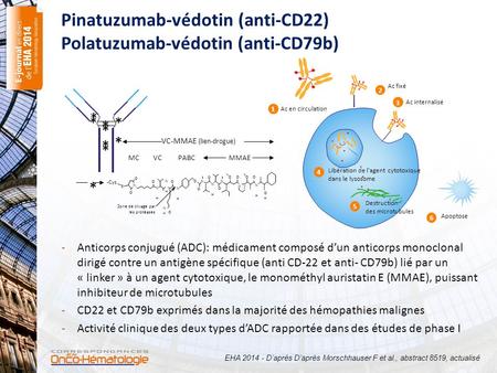 Pinatuzumab-védotin (anti-CD22) Polatuzumab-védotin (anti-CD79b)