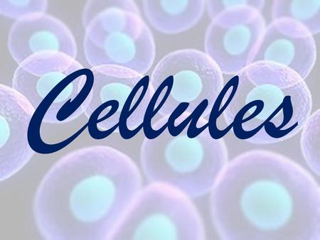 Cellules.