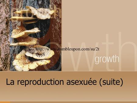 La reproduction asexuée (suite)