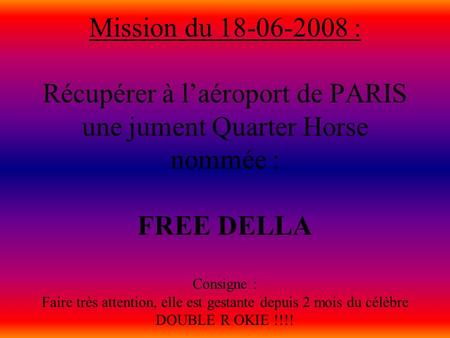 Mission du 18-06-2008 : Récupérer à l’aéroport de PARIS une jument Quarter Horse nommée : FREE DELLA Consigne : Faire très attention, elle est gestante.