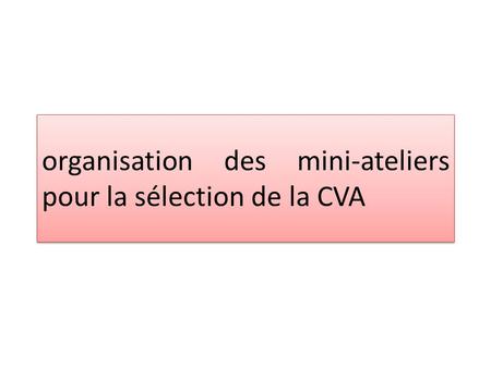 Organisation des mini-ateliers pour la sélection de la CVA.