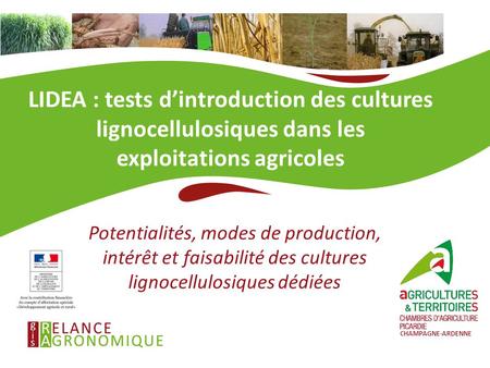 LIDEA : tests d’introduction des cultures lignocellulosiques dans les exploitations agricoles Potentialités, modes de production, intérêt et faisabilité.