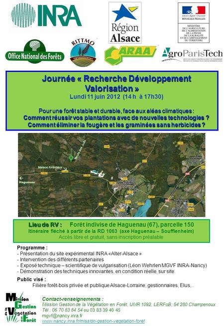 Journée « Recherche Développement Valorisation » Lundi 11 juin 2012 (14 h à 17h30) Pour une forêt stable et durable, face aux aléas climatiques : Comment.