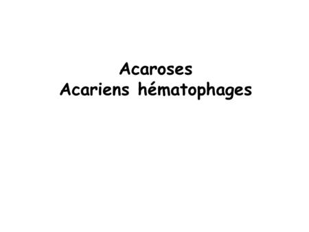 Acaroses Acariens hématophages