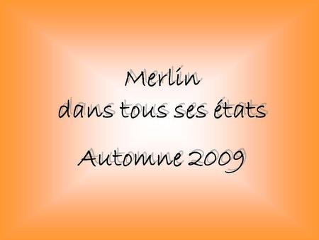Merlin dans tous ses états Automne 2009 Merlin dans tous ses états Automne 2009.