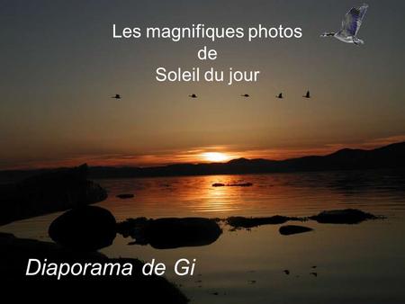 Les magnifiques photos de Soleil du jour Diaporama de Gi.