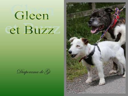 Gleen et Buzz Diaporama de Gi.