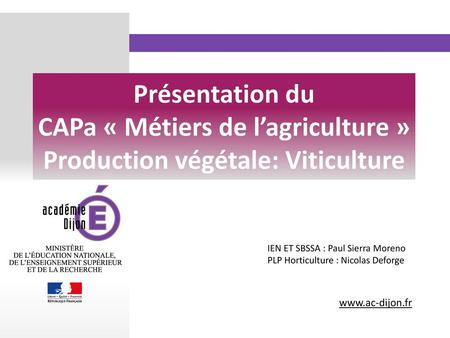 Présentation du CAPa « Métiers de l’agriculture » Production végétale: Viticulture IEN ET SBSSA : Paul Sierra Moreno PLP Horticulture : Nicolas Deforge.