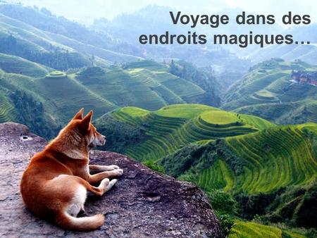 Voyage dans des endroits magiques….