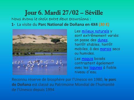 Jour 6. Mardi 27/02 – Séville Nous avons le choix entre deux excursions : 1- La visite du Parc National de Doñana en 4X4 (30 €) Les milieux naturels.