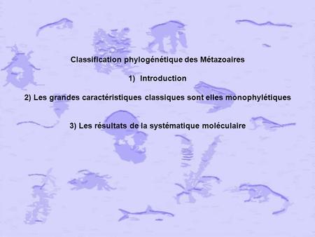 Classification phylogénétique des Métazoaires Introduction