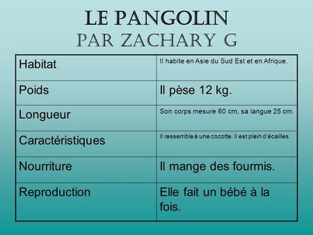 Le PANGOLIN par Zachary G
