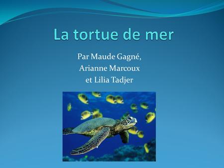 Par Maude Gagné, Arianne Marcoux et Lilia Tadjer