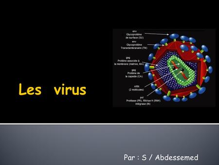 Les virus Par : S / Abdessemed.