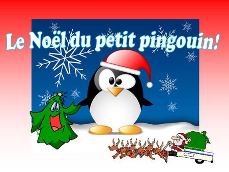 Le Noël du petit pingouin!