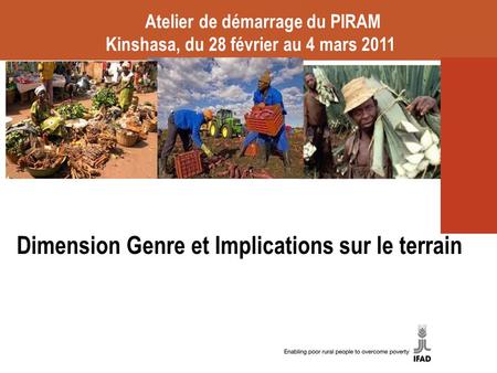 Dimension Genre et Implications sur le terrain Atelier de démarrage du PIRAM Kinshasa, du 28 février au 4 mars 2011.