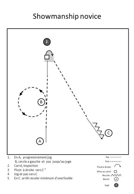 Showmanship novice A J B C 1.En A, progressivement jog B, cercle a gauche et pas jusqu’au juge 2Carré, inspection 3Pivot à droite vers C ° 4Jog et pas.