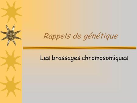 Les brassages chromosomiques