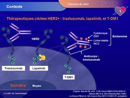 Thérapeutiques ciblées HER2+ : trastuzumab, lapatinib, et T-DM1