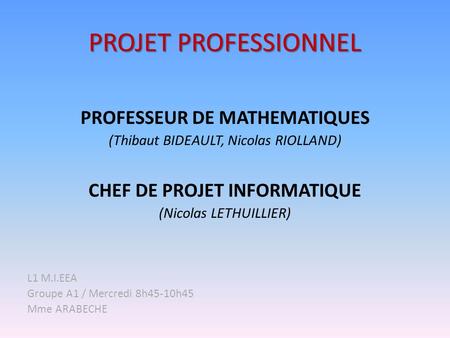 PROFESSEUR DE MATHEMATIQUES CHEF DE PROJET INFORMATIQUE