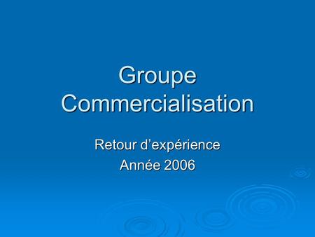 Groupe Commercialisation Retour d’expérience Année 2006.