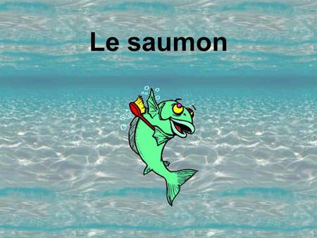 Le saumon. Un saumon dans un lac voit une mouche tourner au- dessus du lui. Il se dit: – Si la mouche descend près de l’eau, je saute pour la manger.Mais.