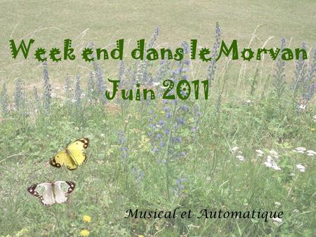 Week end dans le Morvan Juin 2011 Musical et Automatique.