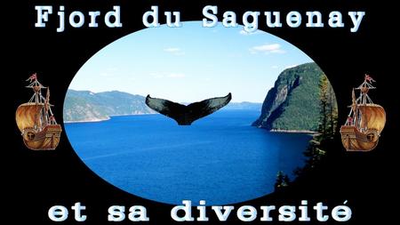 Le journaliste du National Geographic Yves Ouellet l’a affirmé sur son blogue : Digital Nomad. Le fjord du Saguenay compte parmi les 16 destinations.