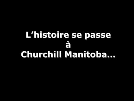 L’histoire se passe à Churchill Manitoba…