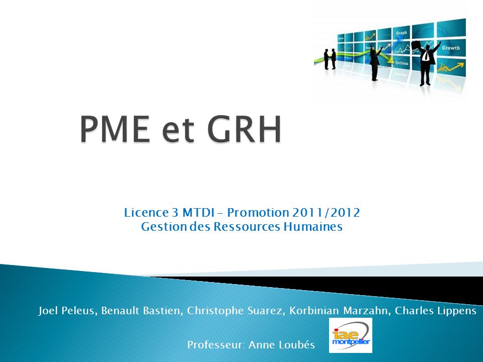 Licence 3 MTDI – Promotion 2011/2012 Gestion des Ressources Humaines