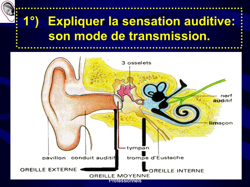 1°) Expliquer la sensation auditive: son mode de transmission.