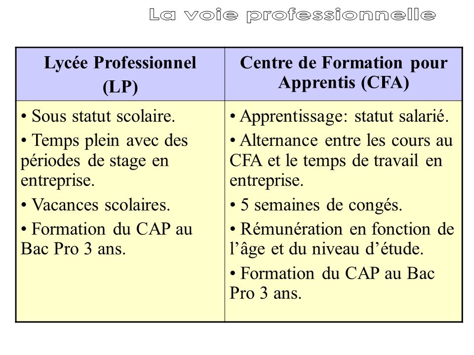 La voie professionnelle Centre de Formation pour Apprentis (CFA)