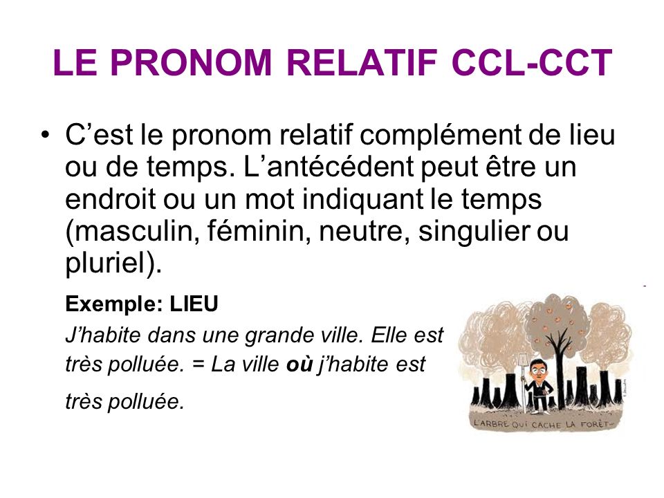 LE PRONOM RELATIF CCL-CCT