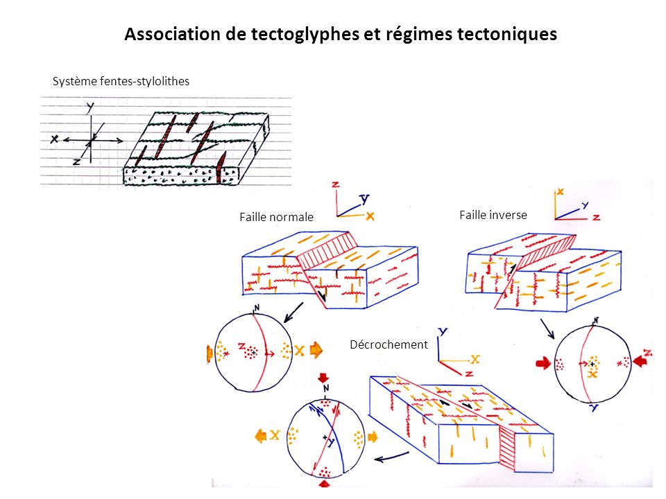 Association de tectoglyphes et régimes tectoniques