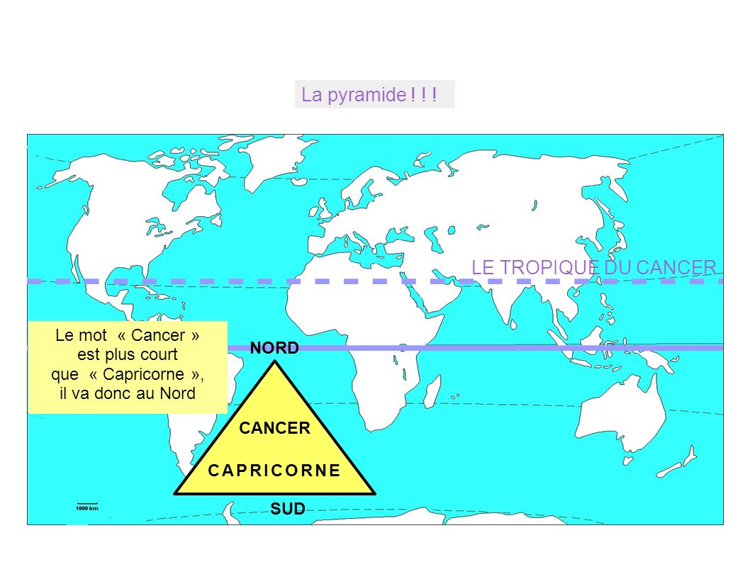 La pyramide ! ! ! LE TROPIQUE DU CANCER Le mot « Cancer »