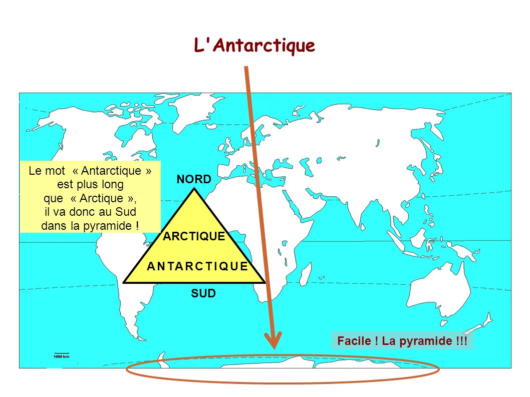L Antarctique Le mot « Antarctique » est plus long NORD