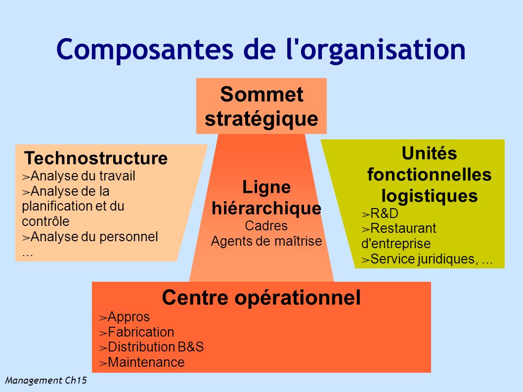 Composantes de l organisation